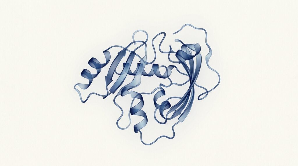 Soft translucent navy peptide chain folded like a ribbon on cream background